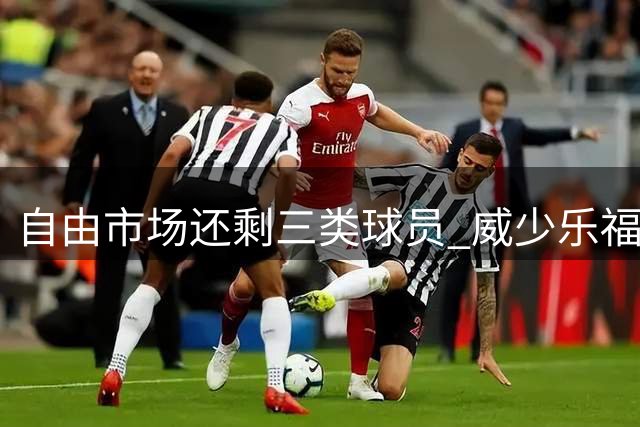 自由市场还剩三类球员 威少乐福领衔失业大军？